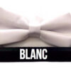 noeud-papillon-blanc